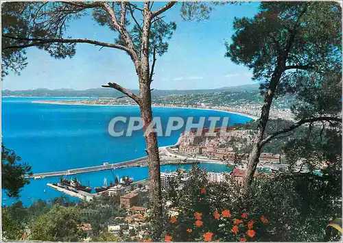 Cartes postales moderne Nice Vue prise du Moont Boron