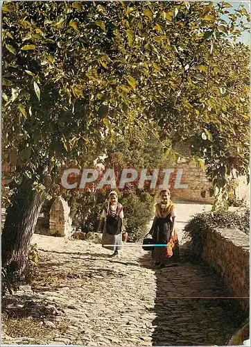 Cartes postales moderne Les Belles images de Provence Retour de Promenade