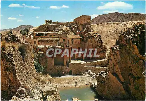 Cartes postales moderne Algerie Bou saada les Moulins