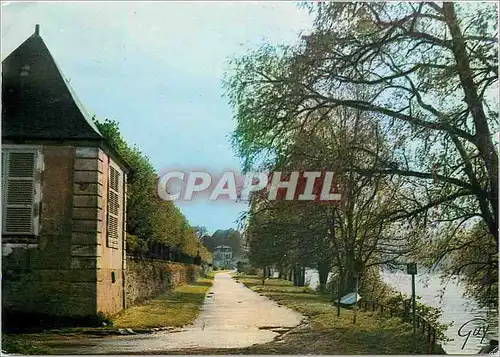 Cartes postales moderne Hericy Seine et Marne La Seine et le chemin de rive