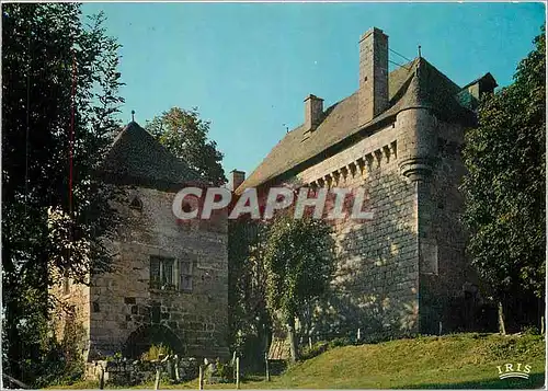 Cartes postales moderne Chaudes Algues