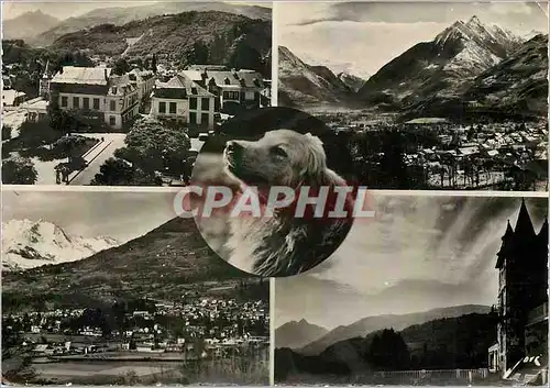 Cartes postales moderne Souvenir d'Argeles Gazost (H P)