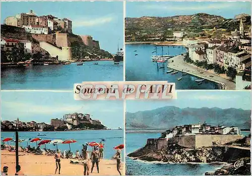 Cartes postales moderne Calvi (Corse) citadelle port Plage Haute Ville