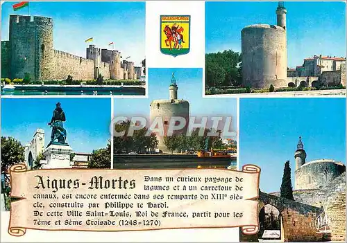 Cartes postales moderne Aigues Mortes