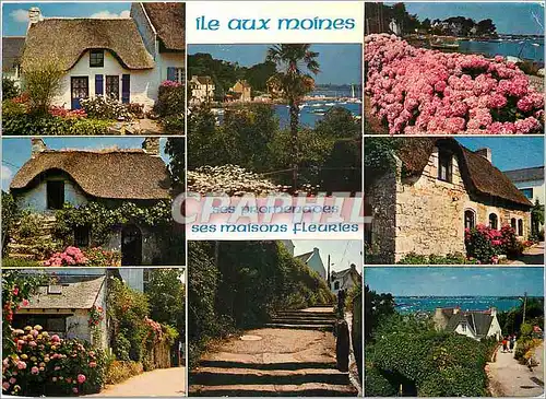 Cartes postales moderne Couleurs de Bretagne Golfe du Morbihan Ile aux Moines