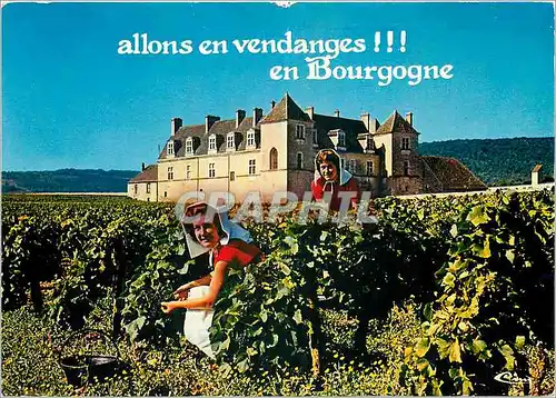 Cartes postales moderne Couleurs et Lumiere de France Les Landes Pins Bruyere et Calme