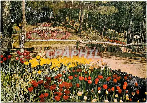 Cartes postales moderne La Tranche sur Mer Les Floralies