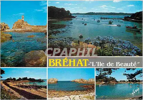 Cartes postales moderne Coulerus et Lumiere de France La Bretagne Ile de Brehat (Cote duNord) Le Phare du Paon