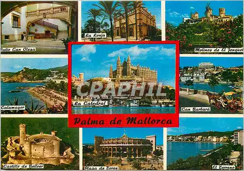 Cartes postales moderne Malma de Mallorca (Baleares) Espalla