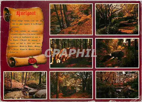 Moderne Karte Couleurs de Bretagne Huegoat La foret Legendaire