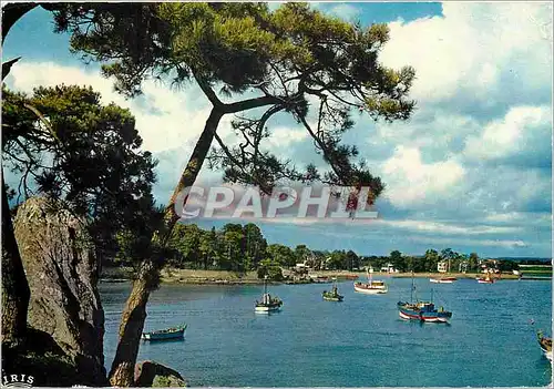 Cartes postales moderne Le Golfe du Morbihan