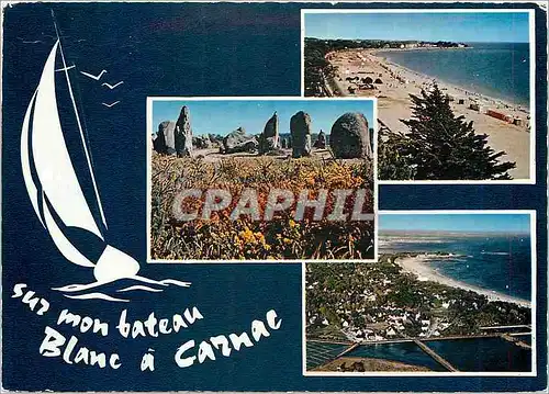 Moderne Karte Carnac La plage Menhirs et lande Fleurie vue generale de la cote et la Plage