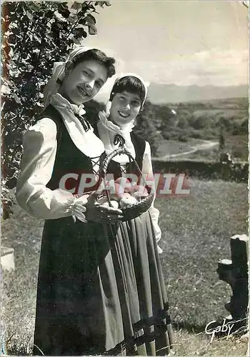 Cartes postales moderne Le Pays Basque (B-P) Groupe d'Art Populaire Basque Cueillette des Pommes a Arcangues