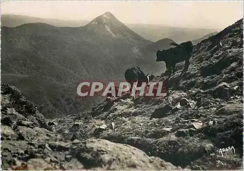 Cartes postales moderne Le Puy-Griou (Cantal) Vu des flancs du Puy-Mary
