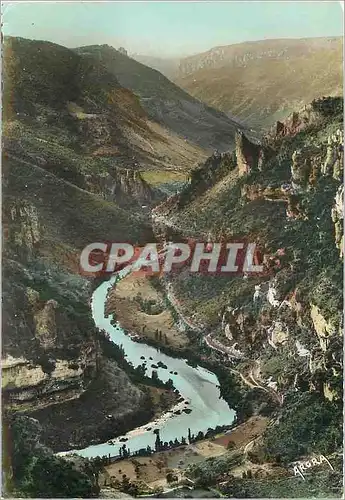 Cartes postales moderne Les Gorges du Tarn Le Point Sublime