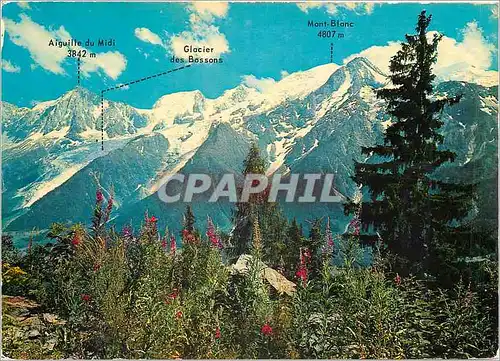 Cartes postales moderne Le Mont Blanc et a ganche l'Aiguille du Midi