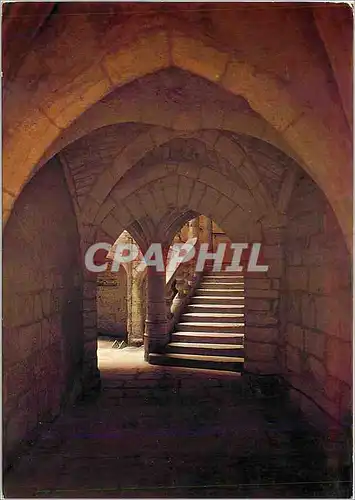 Cartes postales moderne Pezenas (Herault) Ville d'Art des XIVe XVe et XVIe s Le Porche de l'Hotel Lacoste