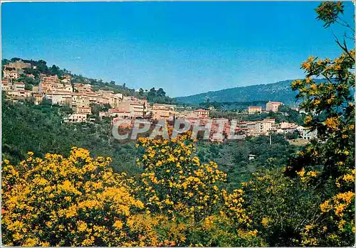 Cartes postales moderne La Cote d'Azur Varoise Bormes Les Mimosas (Var) Vue generale