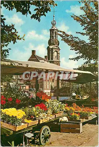 Cartes postales moderne Amsterdam Holland Le marche aux fleurs du Singel sous le vieux clocher de la Tour de la monnaie