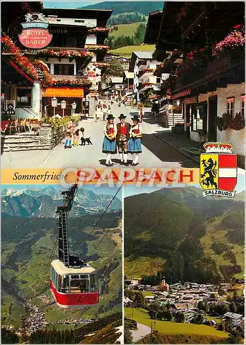 Cartes postales moderne Sommerfrische Saalbach