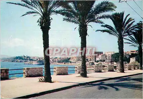 Cartes postales moderne Toulon (Var) La Corniche du Moullon