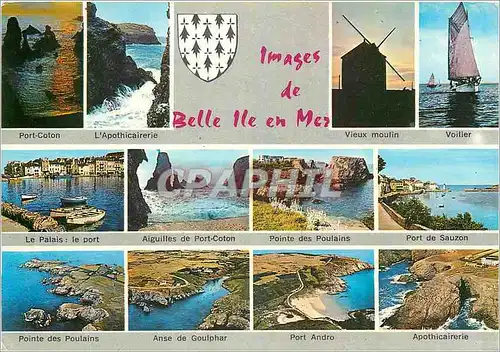 Cartes postales moderne Belle ile en mer (Morbihan)