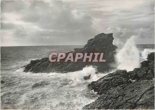 Cartes postales moderne Belle isle en mer Sauzon Le Chien