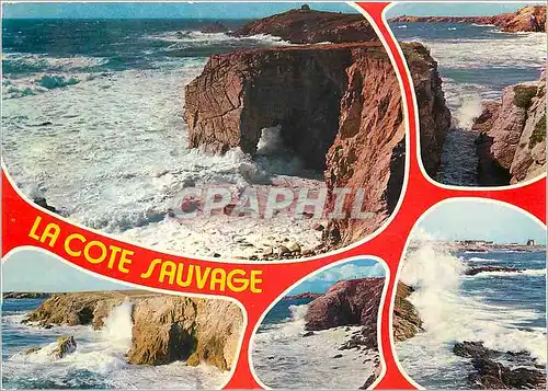 Cartes postales moderne Bretagne presqu'ile de Quiberon La cote sauvage