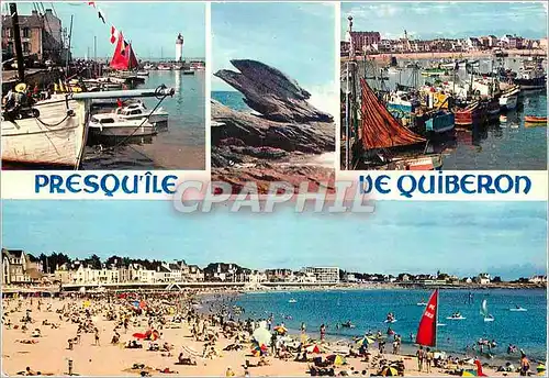 Cartes postales moderne Bretagne presqu'ile de Quiberon Port Maria et Port Haliguen