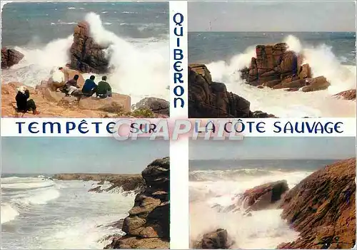 Cartes postales moderne Bretagne presqu'ile de Quiberon (Morbihan) La Cote Sauvage