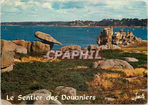 Cartes postales moderne Bretagne La cote de granit rose Ploumanach sur le sentier des Douaniers