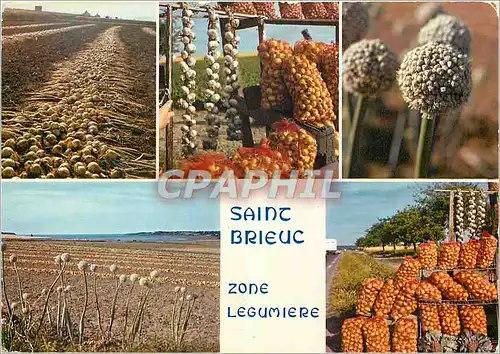 Cartes postales moderne Bretagne Saint Brieuc Yffiniac Langue (C du N) Zone legumiere