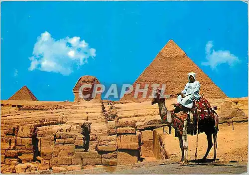 Cartes postales moderne Giza Le Sphinx avec les Pyramides de Chephren et Mykerines