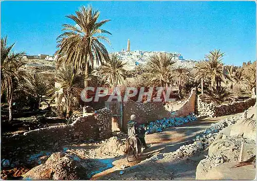 Cartes postales moderne Ghardaia M'Zab