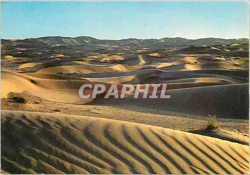 Cartes postales moderne Algerie Le Sud Faoscinant