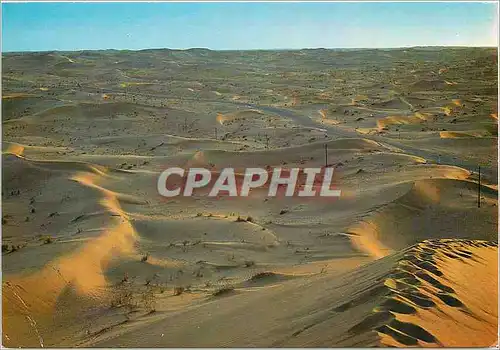 Cartes postales moderne Algerie le Sud Foscinant