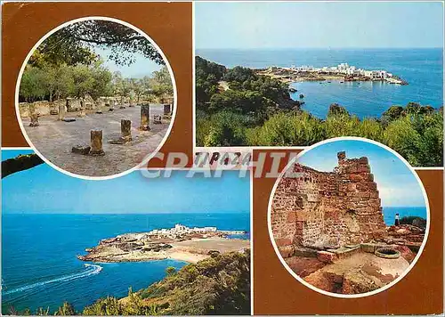 Cartes postales moderne Algerie Tipaza