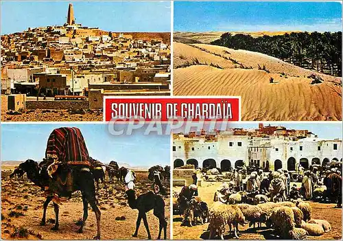 Moderne Karte Algerie Souvenir de Ghardaia