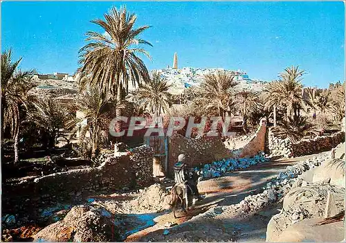 Cartes postales moderne Ghardaia M'ZAB