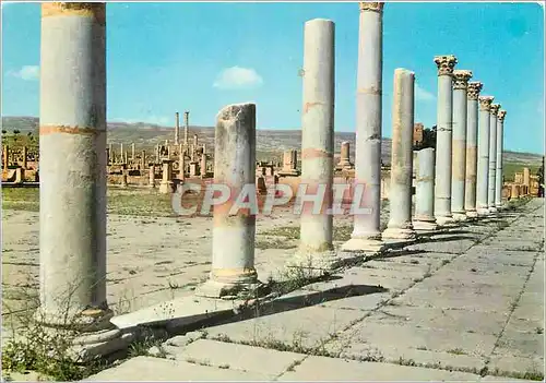 Moderne Karte Timgad le Forum