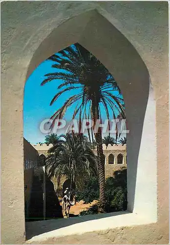 Cartes postales moderne Algerie El Gole Vue Pittoresque