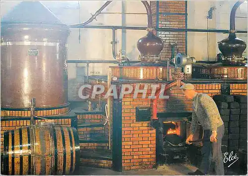 Cartes postales moderne Nos Richesses Regionales Le Cognac