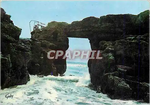 Cartes postales moderne Saint Palais sur Mer (Charente Mme) Le Pont du Diable