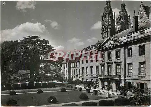 Cartes postales moderne Tours (I et L) Le Musee des Beaux Arts et le grand Cedre