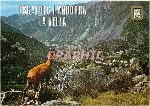 Cartes postales moderne Escaldes I Andorra la Vella