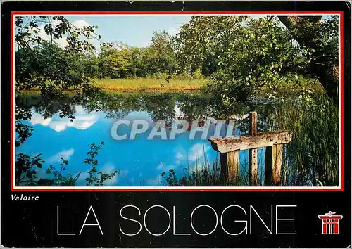 Cartes postales moderne La Sologne