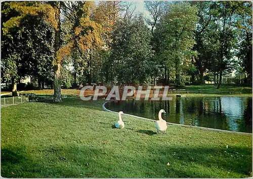 Cartes postales moderne Images de France Vitry sur Seine Le Parc