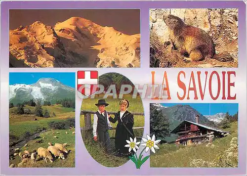 Cartes postales moderne Images de chez nous Neige eternelles hauts paturages vieux chalets d'alpage sont autant de souve