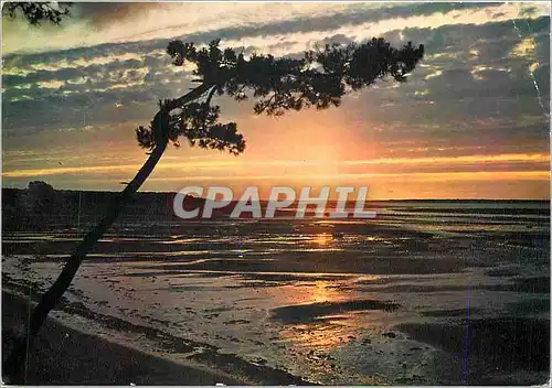 Cartes postales moderne Quoi de plus agreable que de rever le soir