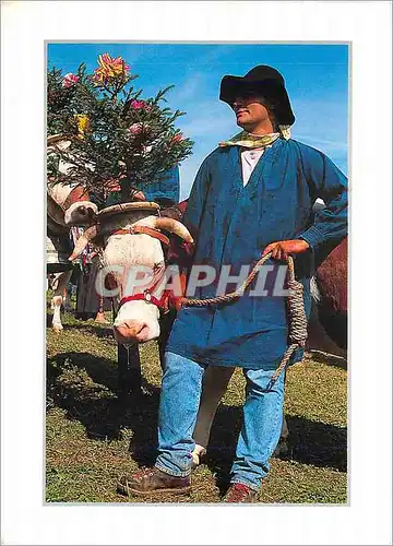 Cartes postales moderne Les Coulerus du Jura (Franche Comte) La fete du Haut Jura Costume traditionnel et vache decoree